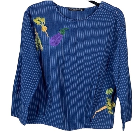 Zara Trafuluc Pinstripe Embroidered Veggies Chambray Top size S - Picture 2 of 13